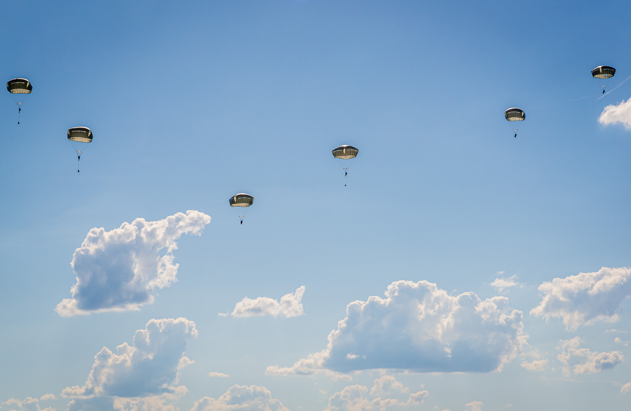 Canopy Flight