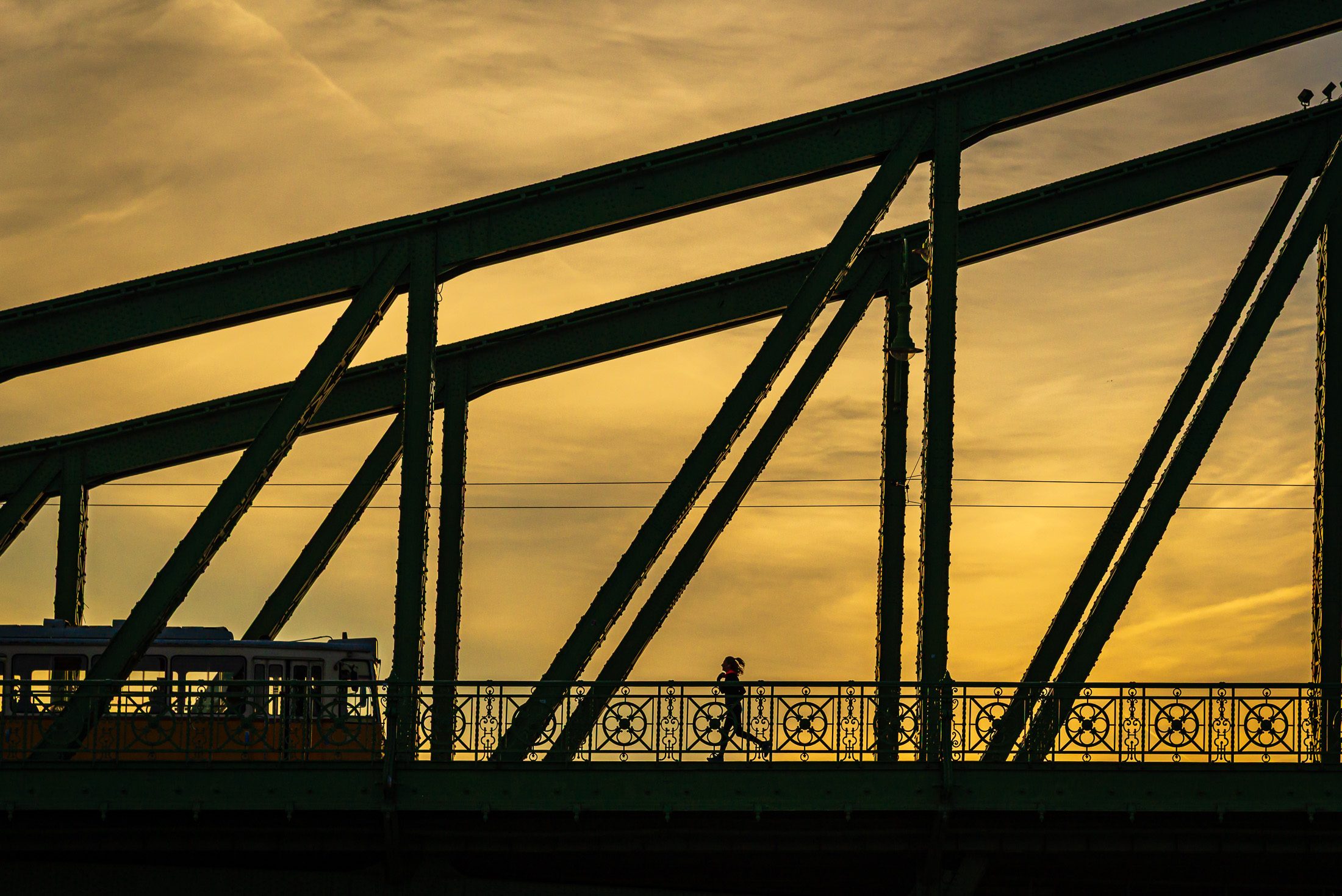 Liberty Bridge, Budapest