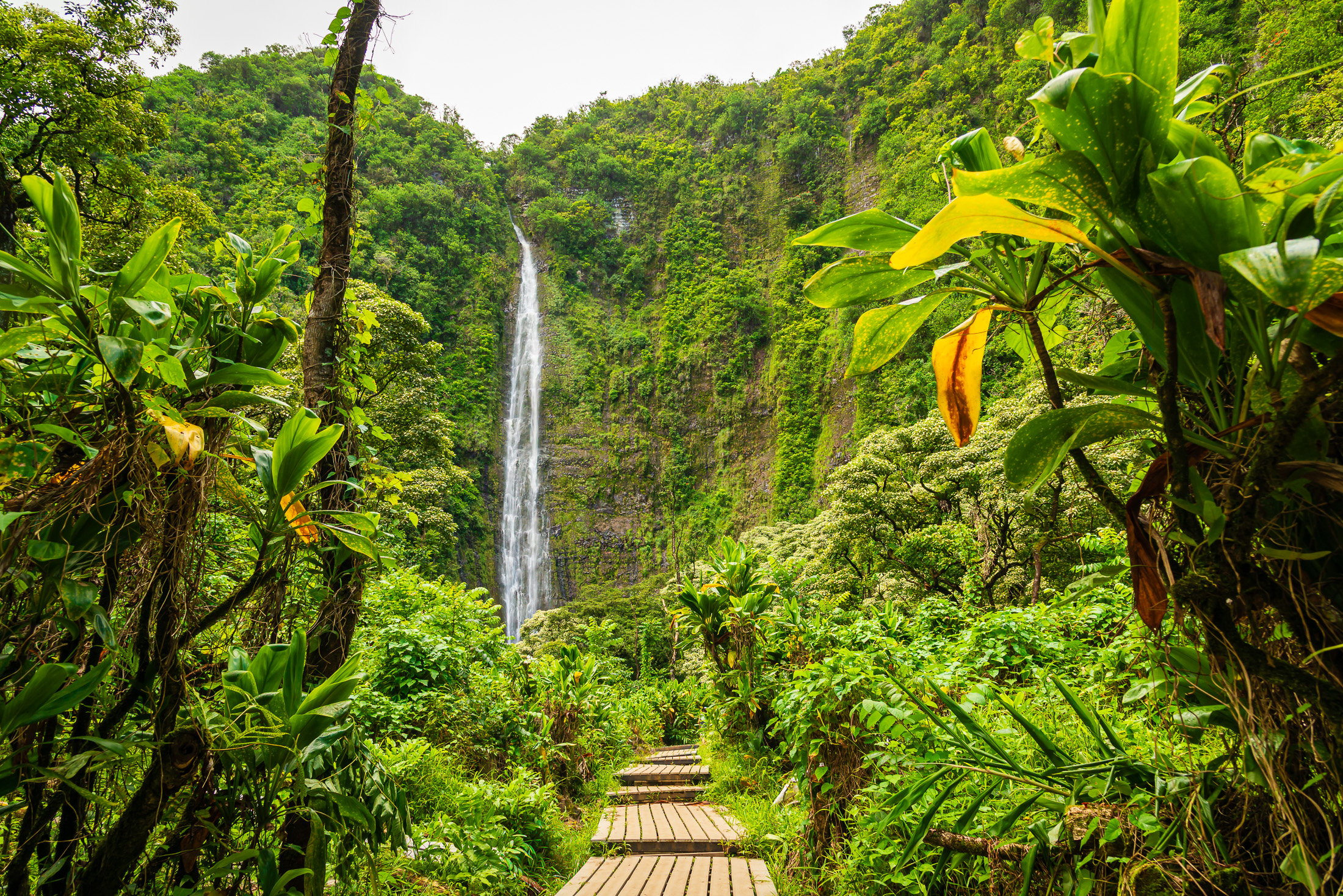 Waimoku Falls