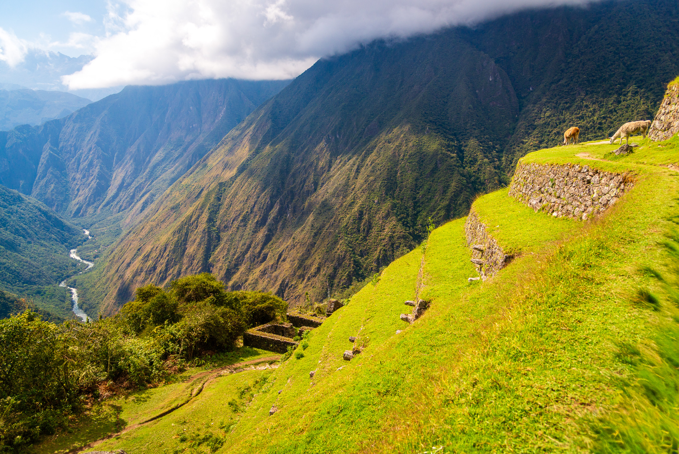 Inca Ruins