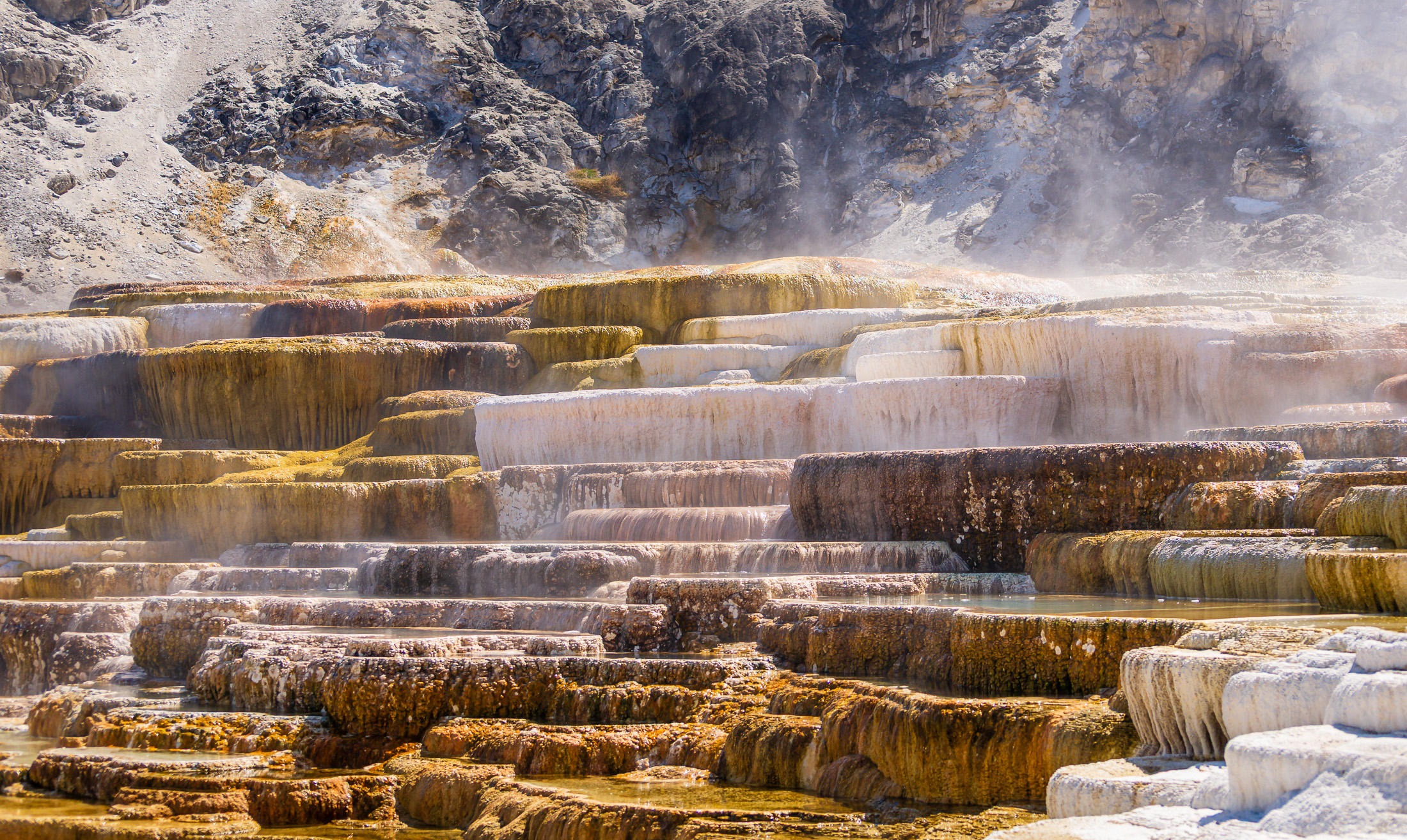 Yellowstone Thermal Colors